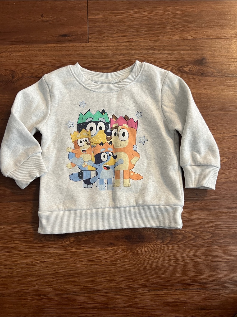 Kids' Light Gray Bluey & Friends Graphic Sweatshirt
